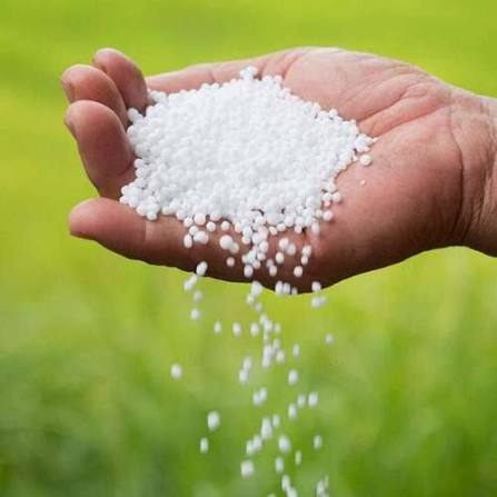 کاربردهای کود اوره در کشاورزی